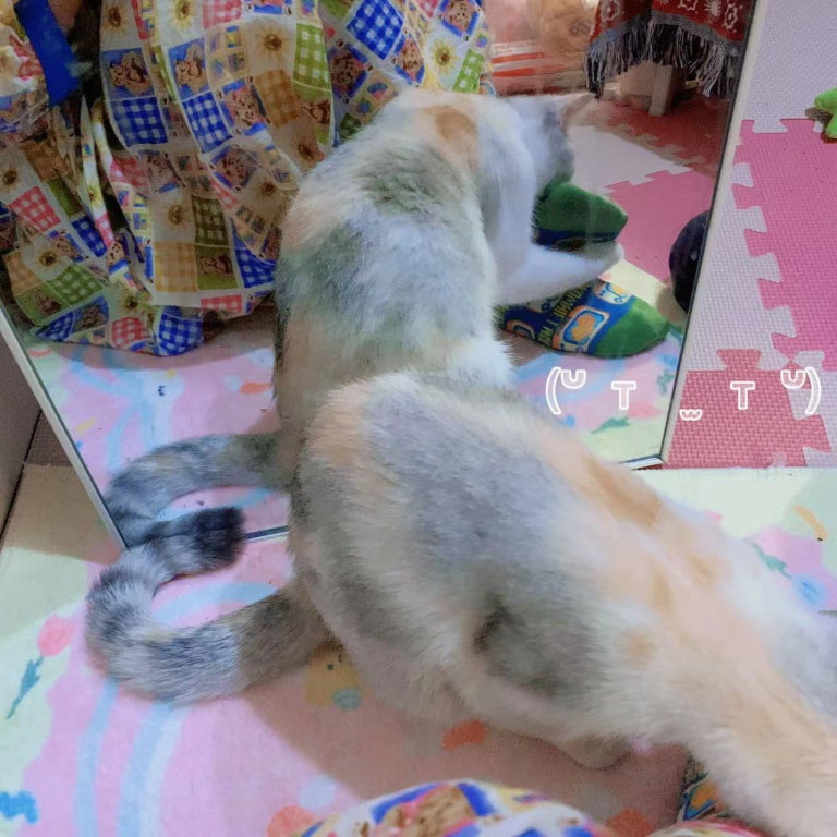 11/24今日の東京出勤 — Miya大阪・東京コンパニオン出張 Gleezy：ck71mv